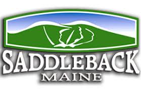 Saddleback logo