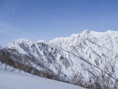 Top Nagano Ski Resorts 