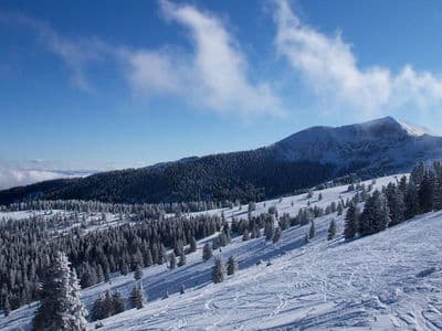 The 4 Best New Mexico Ski Resorts